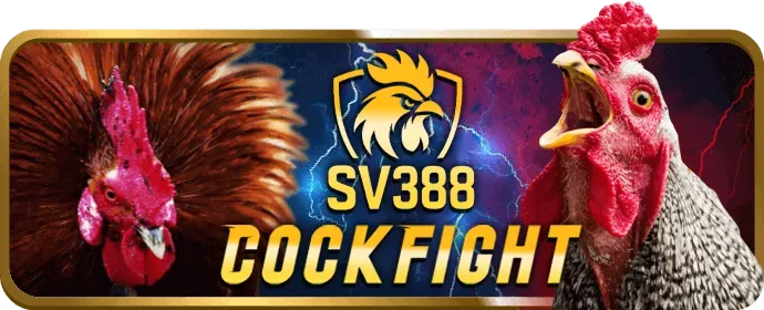 Giftcode VIP hàng ngày giá trị dành cho thành viên vipvin
